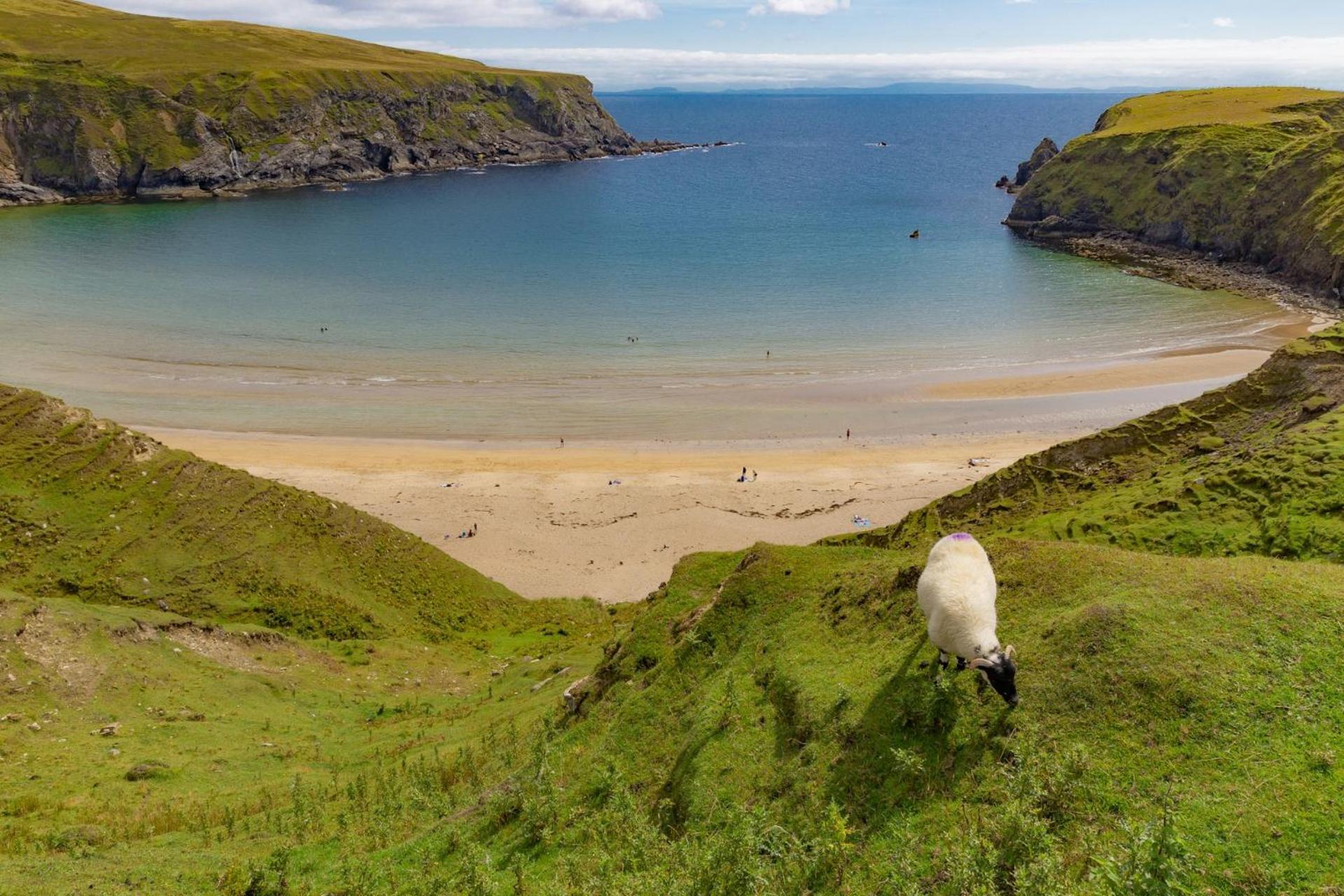 Hollies Hideaway Apartment Donegal Town Екстериор снимка